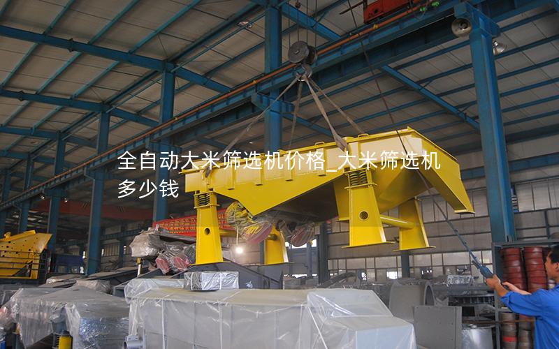 全自动大米筛选机价格_大米筛选机多少钱