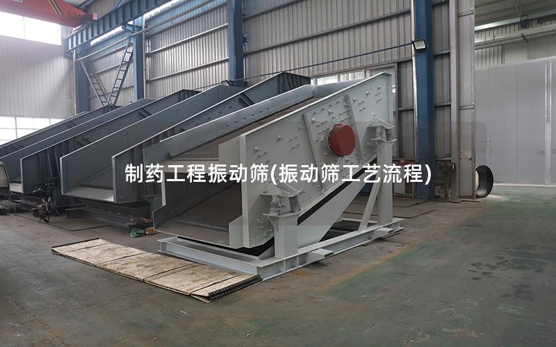 制药工程振动筛(振动筛工艺流程)