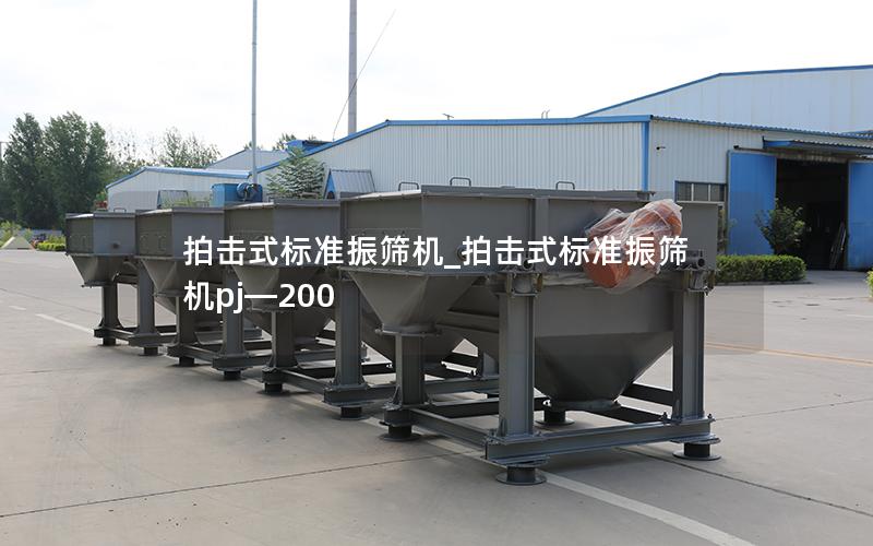 拍击式标准振筛机_拍击式标准振筛机pj—200