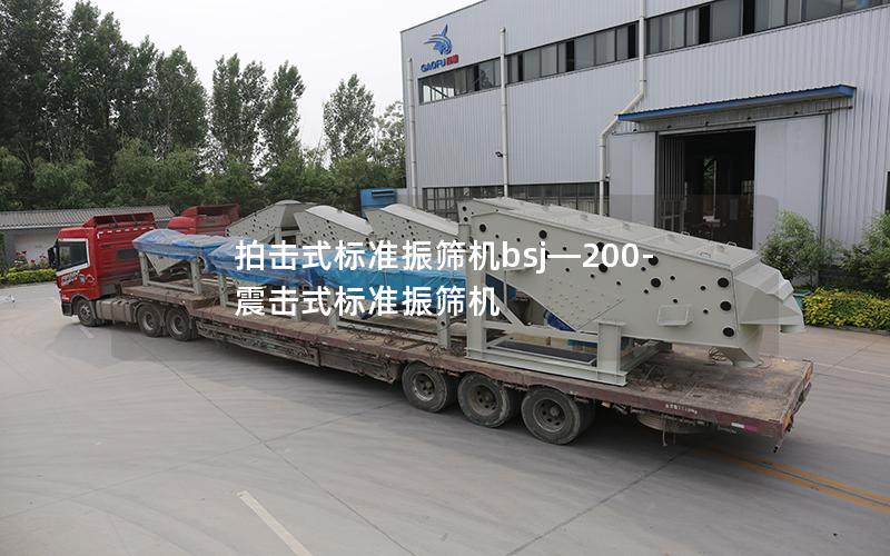 拍击式标准振筛机bsj—200-震击式标准振筛机