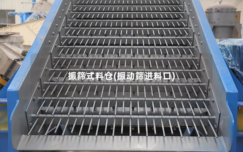 振筛式料仓(振动筛进料口)