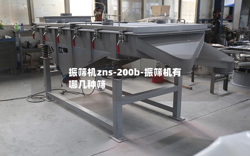 振筛机zns-200b-振筛机有哪几种筛