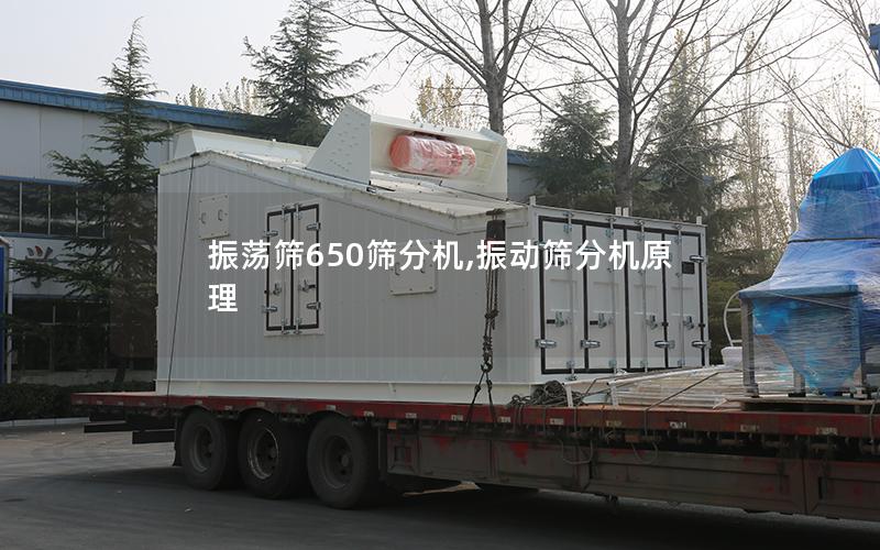 振荡筛650筛分机,振动筛分机原理