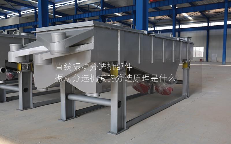 直线振动分选机部件-振动分选机械的分选原理是什么