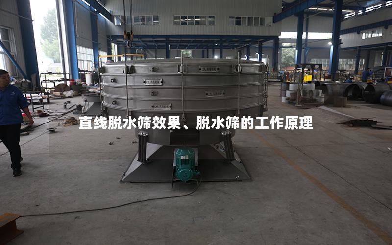直线脱水筛效果、脱水筛的工作原理