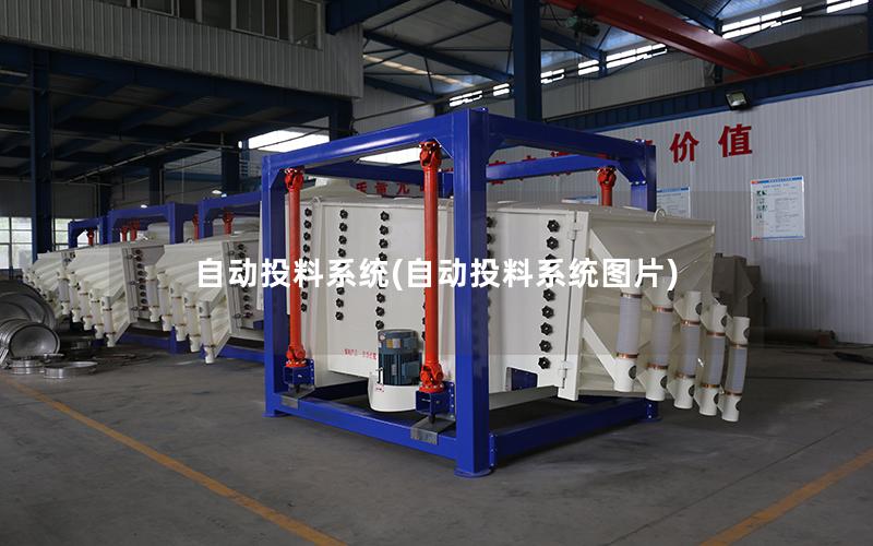 自动投料系统(自动投料系统图片)