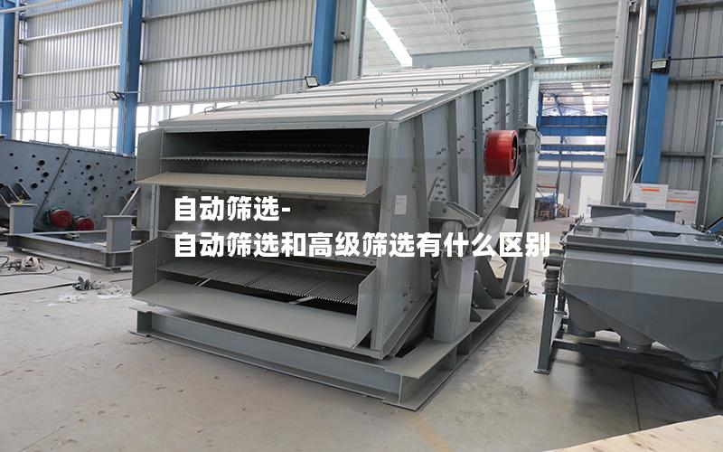自动筛选-自动筛选和高级筛选有什么区别