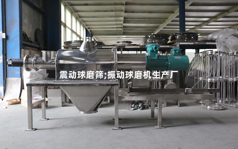 震动球磨筛;振动球磨机生产厂