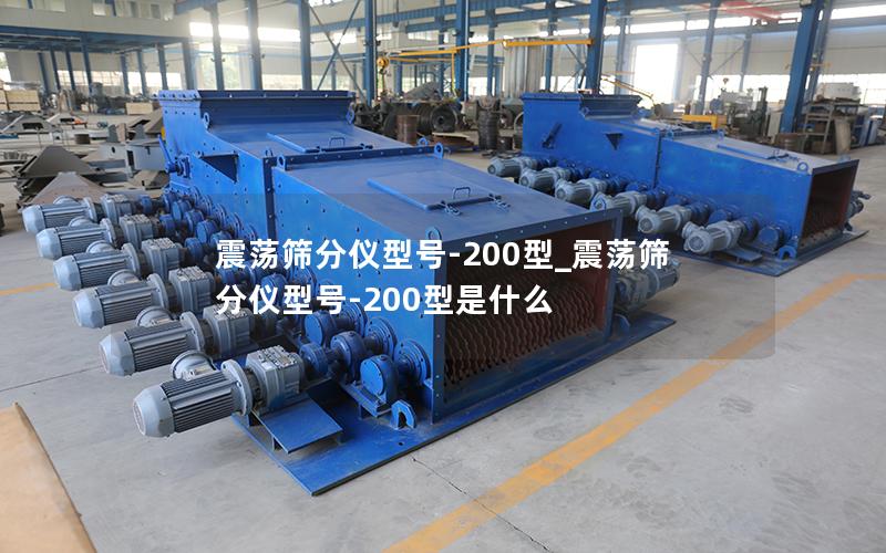 震荡筛分仪型号-200型_震荡筛分仪型号-200型是什么