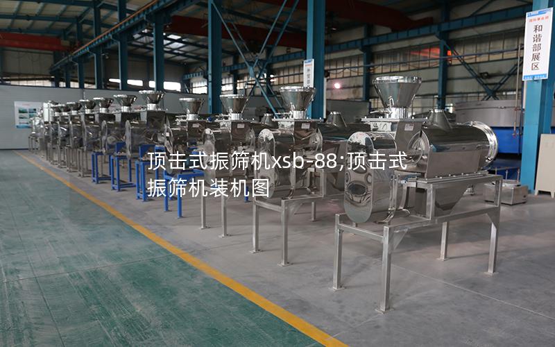 顶击式振筛机xsb-88;顶击式振筛机装机图