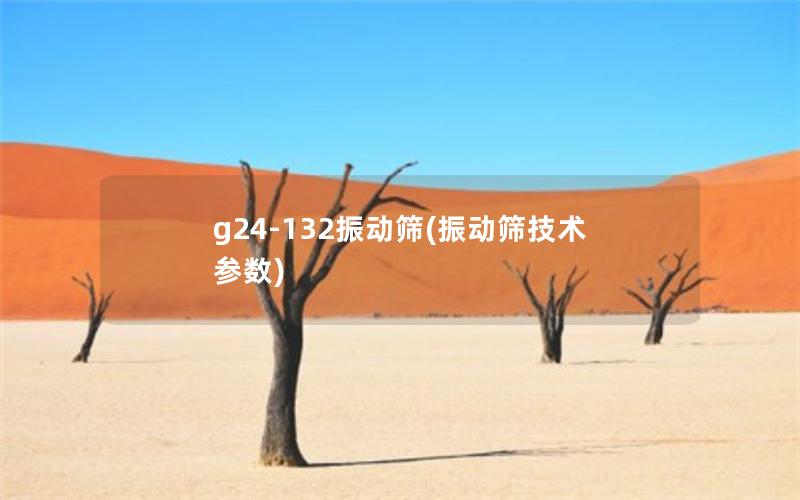 g24-132振动筛(振动筛技术参数)