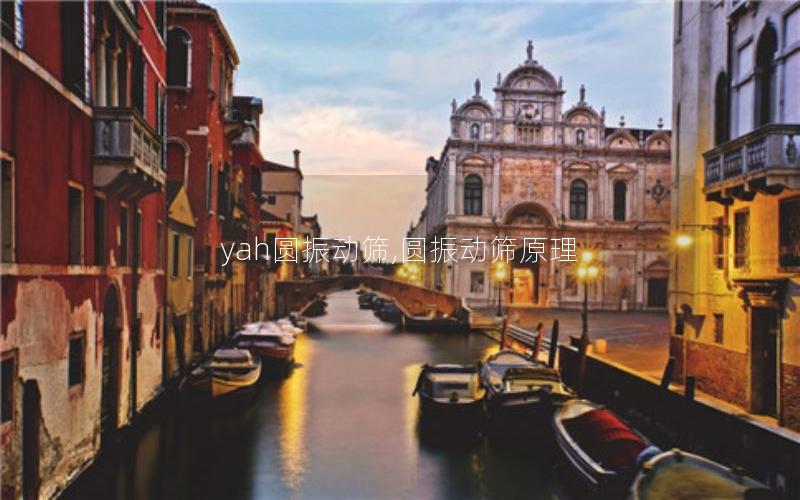 yah圆振动筛,圆振动筛原理