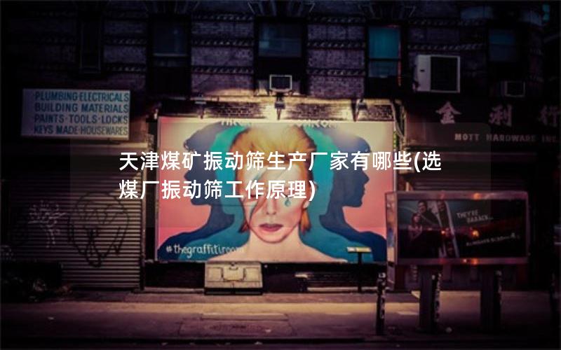 天津煤矿振动筛生产厂家有哪些(选煤厂振动筛工作原理)