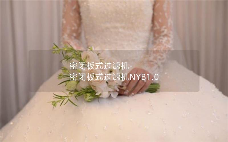 密闭板式过滤机-密闭板式过滤机NYB1.0