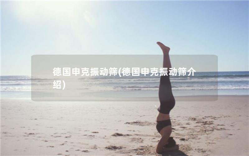 德国申克振动筛(德国申克振动筛介绍)