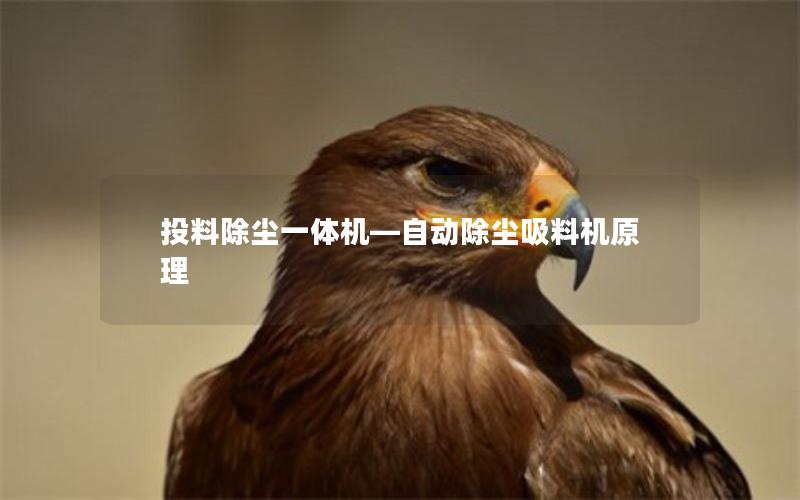 投料除尘一体机—自动除尘吸料机原理 投料除尘一体机—自动除尘吸料机原理
