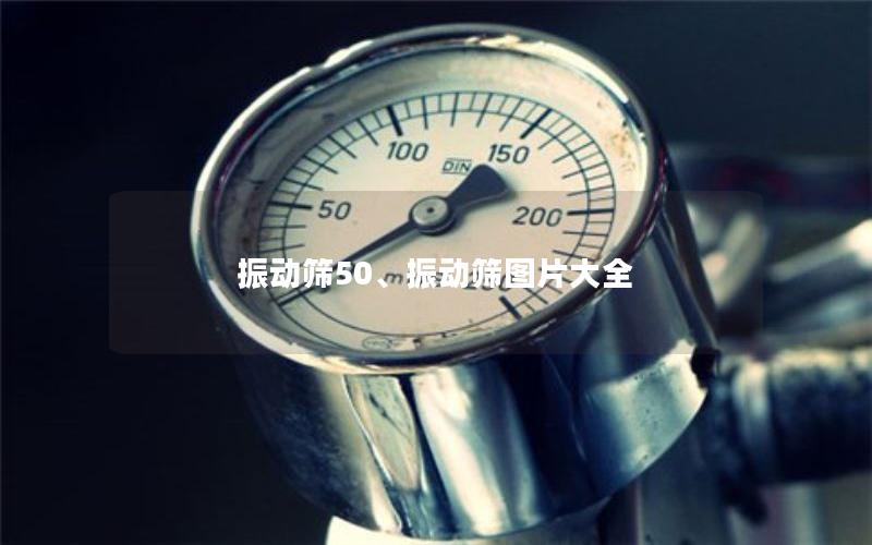 振动筛50、振动筛图片大全