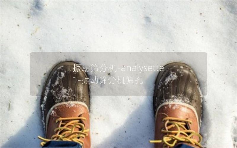 振动筛分机-analysette1-振动筛分机筛孔