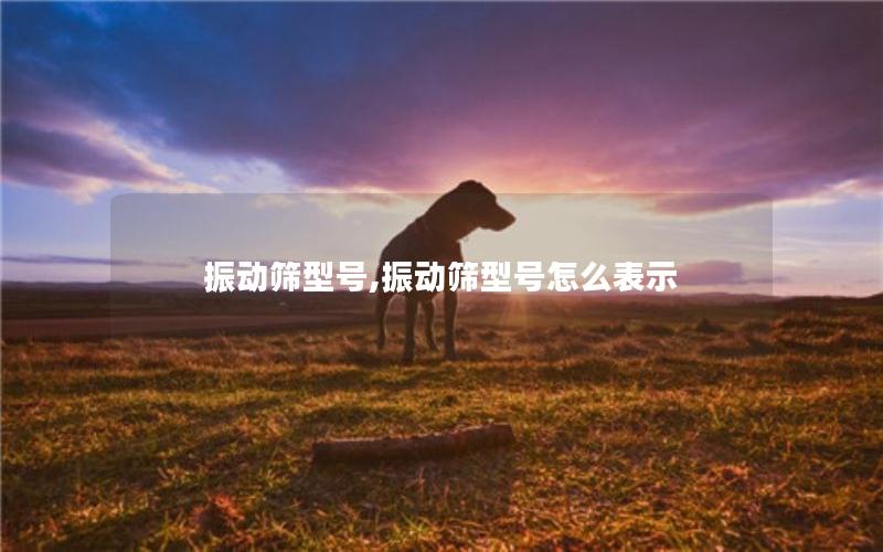 振动筛型号,振动筛型号怎么表示