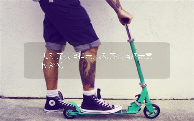 振动筛振幅指示,振动筛振幅牌示意图解说