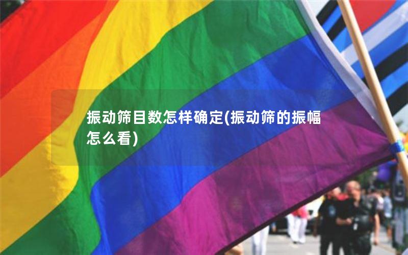 振动筛目数怎样确定(振动筛的振幅怎么看)