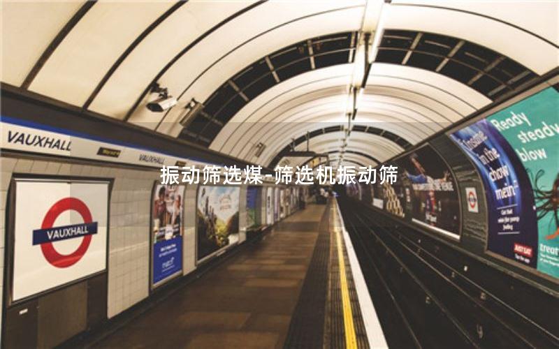 振动筛选煤-筛选机振动筛