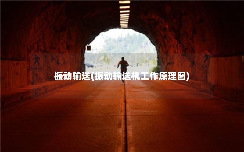 振动输送(振动输送机工作原理图) 振动输送(振动输送机工作原理图)