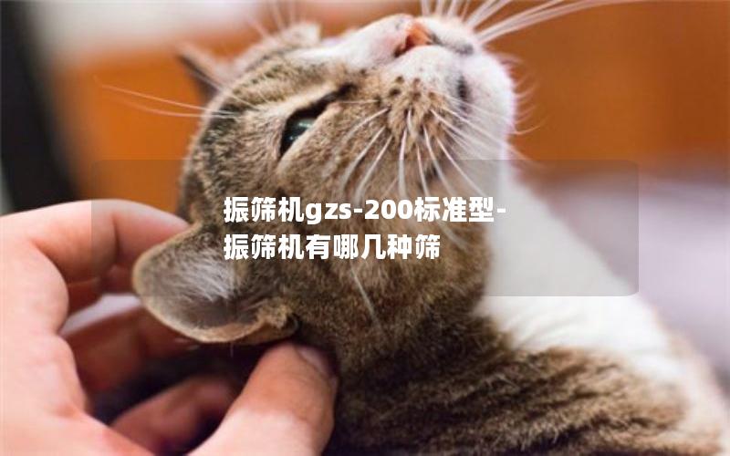 振筛机gzs-200标准型-振筛机有哪几种筛 振筛机gzs-200标准型-振筛机有哪几种筛