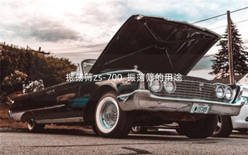 振荡筛zs-700_振荡筛的用途 振荡筛zs-700_振荡筛的用途