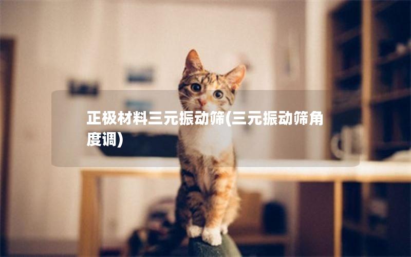 正*材料三元振动筛(三元振动筛角度调) 正*材料三元振动筛(三元振动筛角度调)