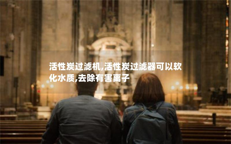 活性炭过滤机,活性炭过滤器可以软化水质,去除有害离子 活性炭过滤机,活性炭过滤器可以软化水质,去除有害离子