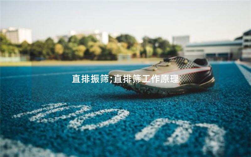 直排振筛;直排筛工作原理 直排振筛;直排筛工作原理