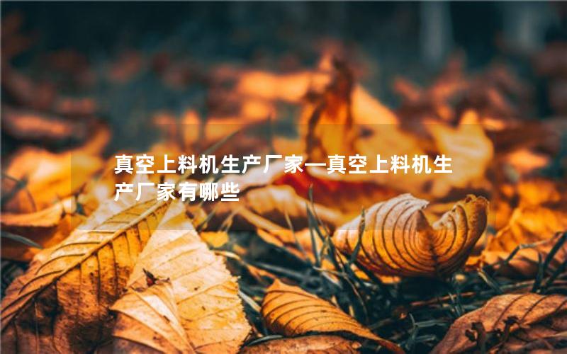 真空上料机生产厂家—真空上料机生产厂家有哪些