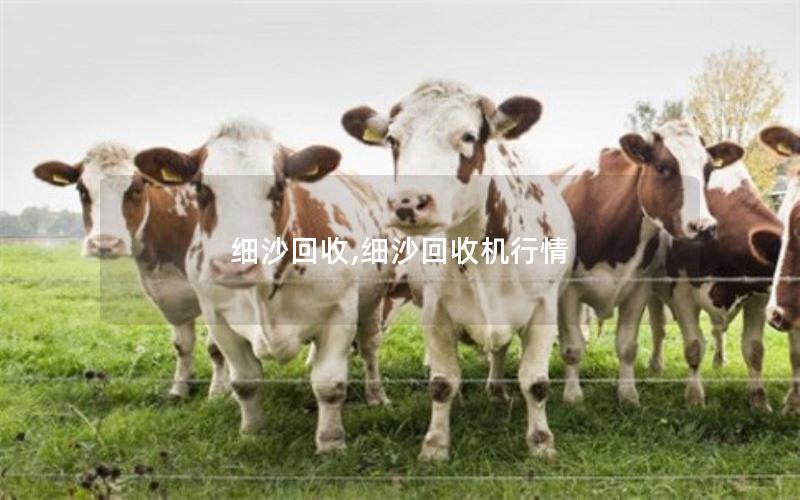 细沙回收,细沙回收机行情 细沙回收,细沙回收机行情