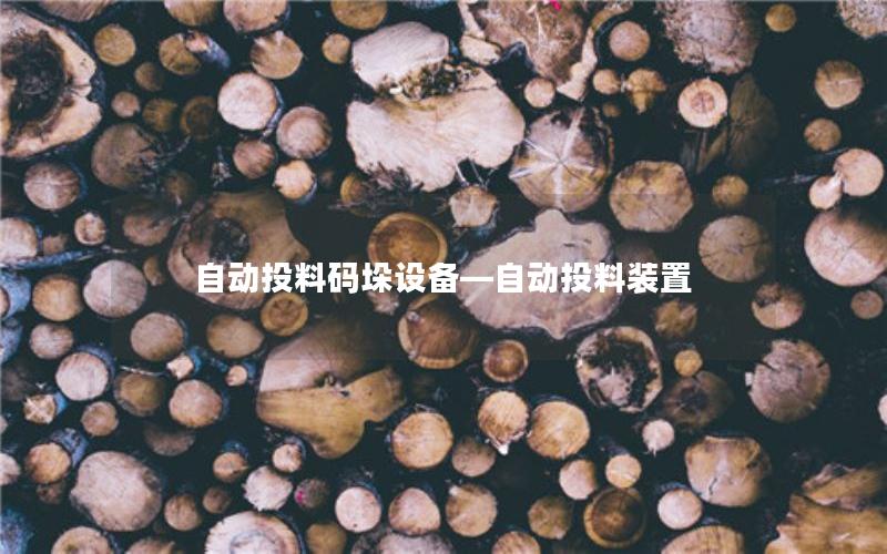 自动投料码垛设备—自动投料装置 自动投料码垛设备—自动投料装置