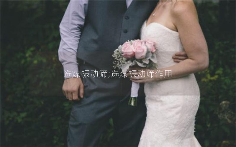 选煤振动筛;选煤振动筛作用 选煤振动筛;选煤振动筛作用