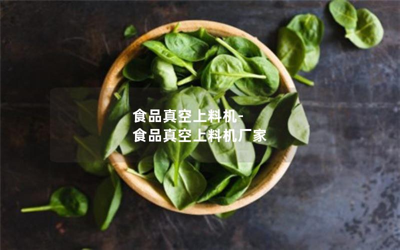 食品真空上料机-食品真空上料机厂家