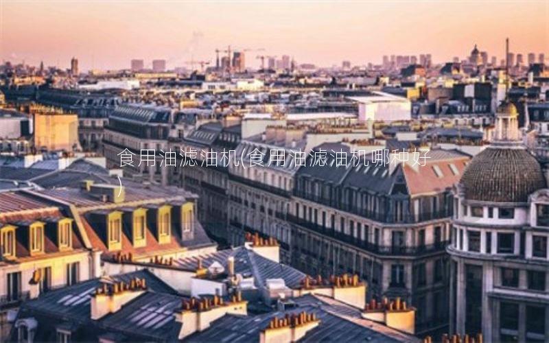 食用油滤油机(食用油滤油机哪种好)