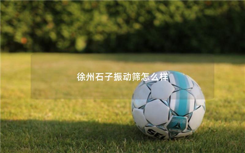 徐州石子振动筛怎么样