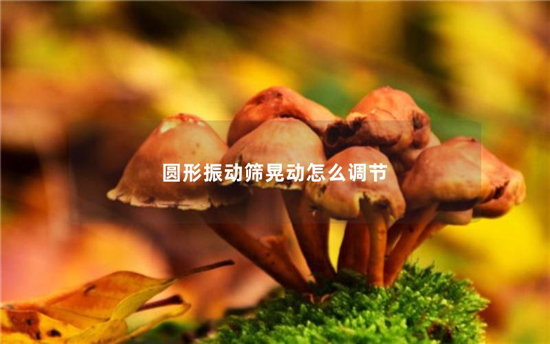 圆形振动筛晃动怎么调节