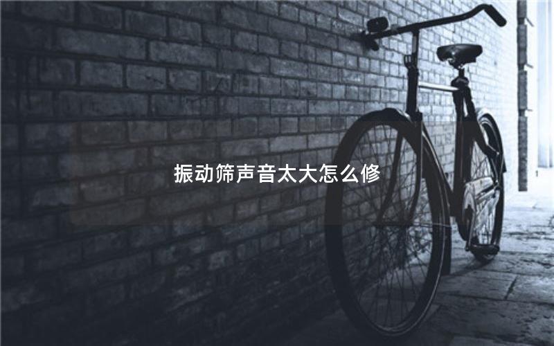 振动筛声音太大怎么修