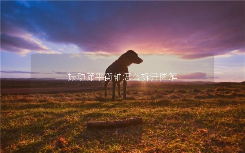 振动筛平衡轴怎么拆开图解