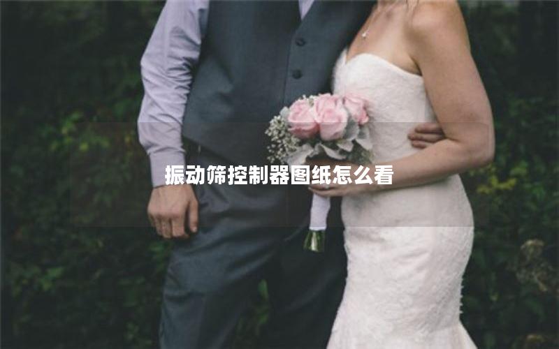 振动筛控制器图纸怎么看