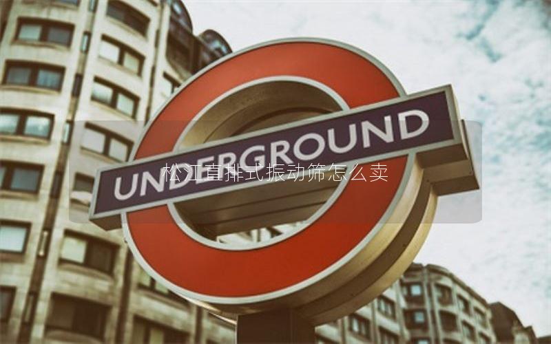 松江直排式振动筛怎么卖