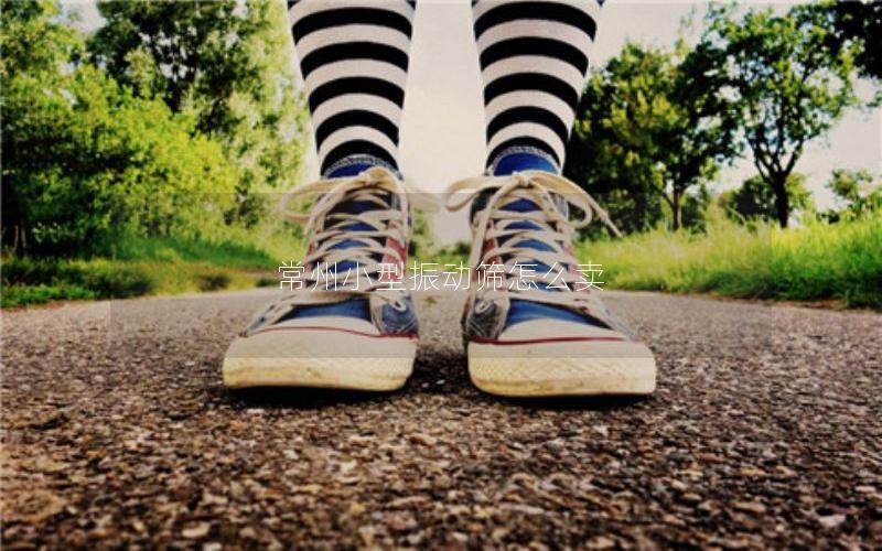 常州小型振动筛怎么卖