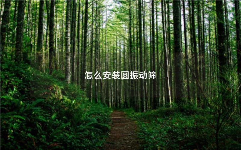 怎么安装圆振动筛