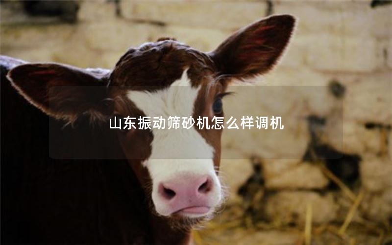 山东振动筛砂机怎么样调机