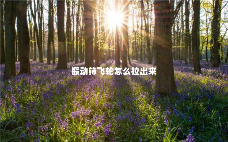 振动筛飞轮怎么拉出来