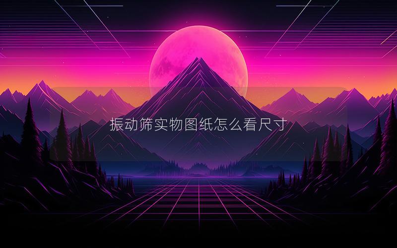 振动筛实物图纸怎么看尺寸