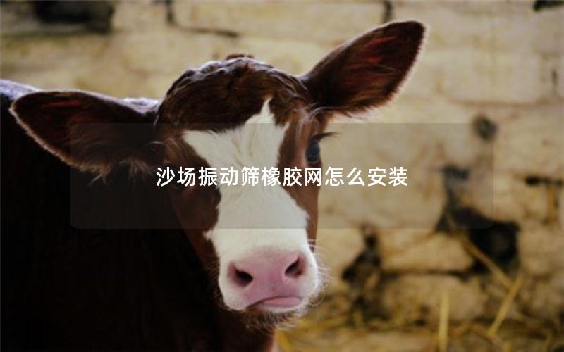 沙场振动筛橡胶网怎么安装